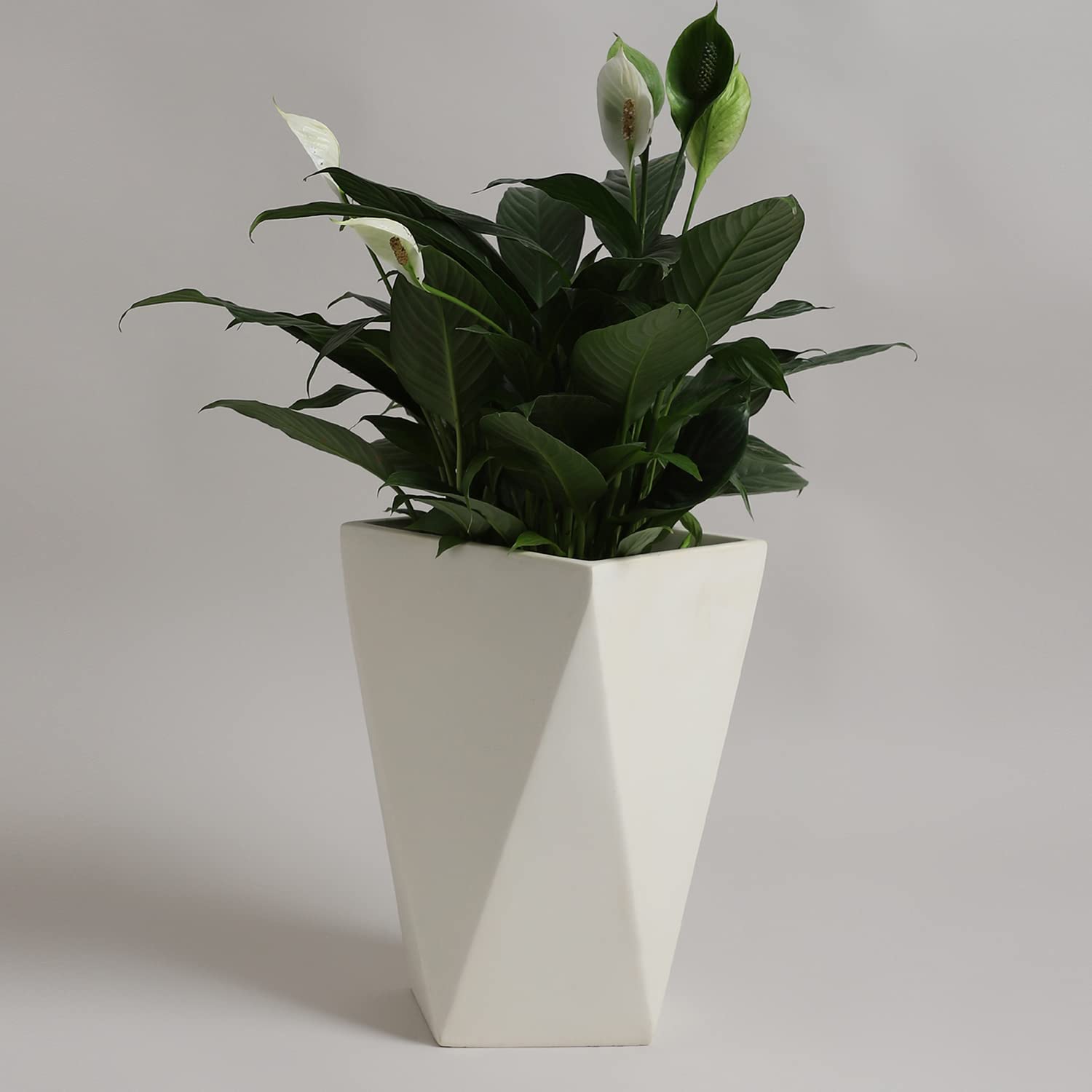 YUCCABE ITALIA Cream White 18 Inches Diamond Square Planter (B07BF8HKQD) Amazon Price History, Amazon Price Tracker