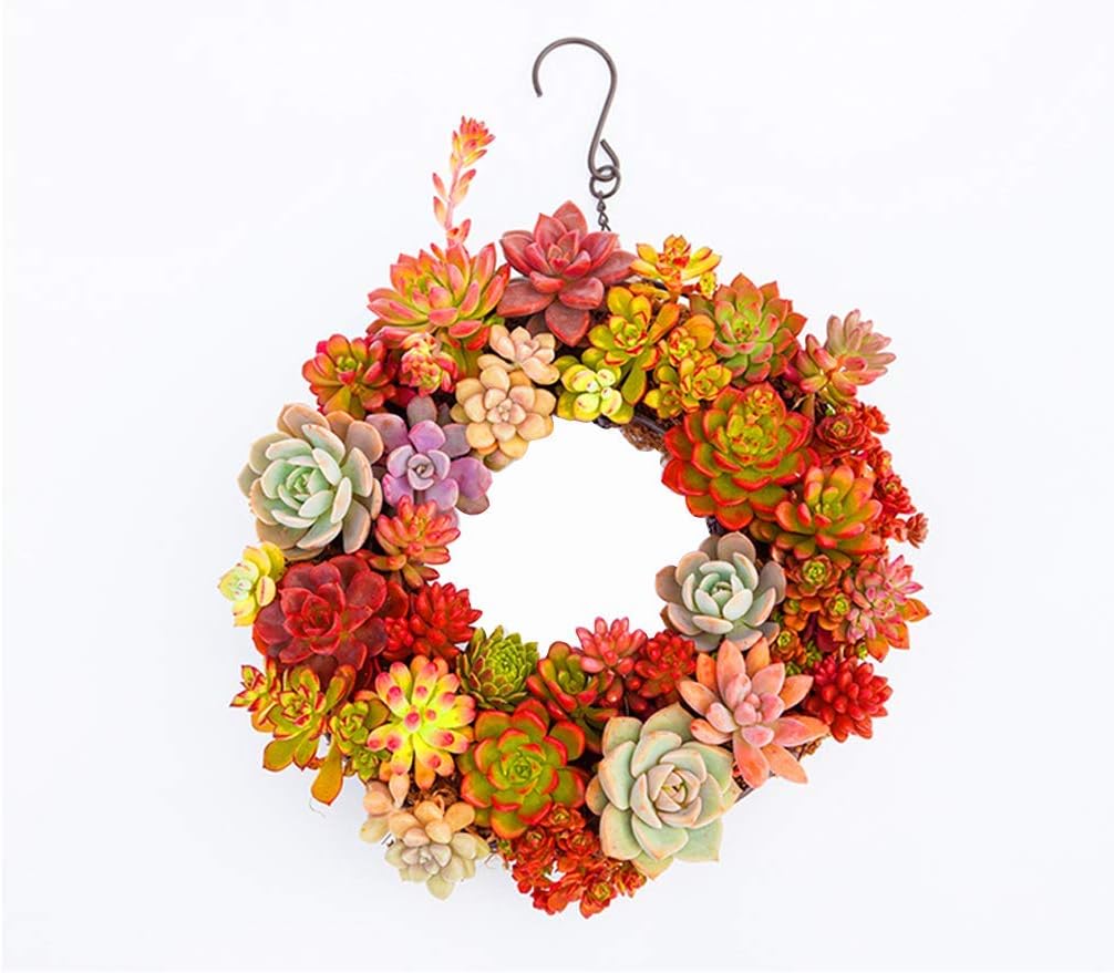 Round Wire Wreath Frame Hanger, Succulent Metal Hanging Plant Holder - Metal Wire Wreath Frame Form Hanger with Hook for Home Garden Decor(NO Plants)