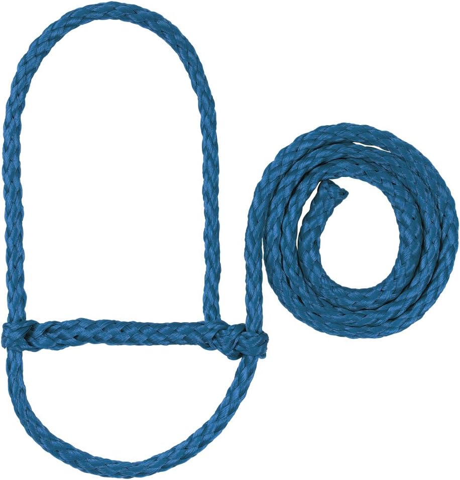 Weaver Leather Poly Rope Sheep Halter, Green/Blue/Gray : Sports & Outdoors
