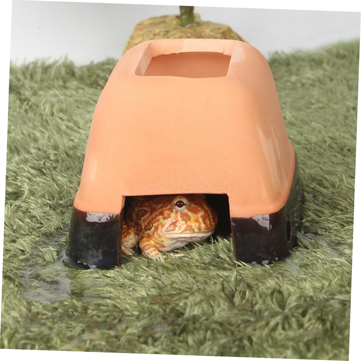 YARNOW Nido Per La Riproduzione Di Rettili Nascondiglio in Ceramica Per Tartarughe Piattaforma Per Crogiolarsi Lampada Riscaldante Accessorio Per Nascondiglio Di