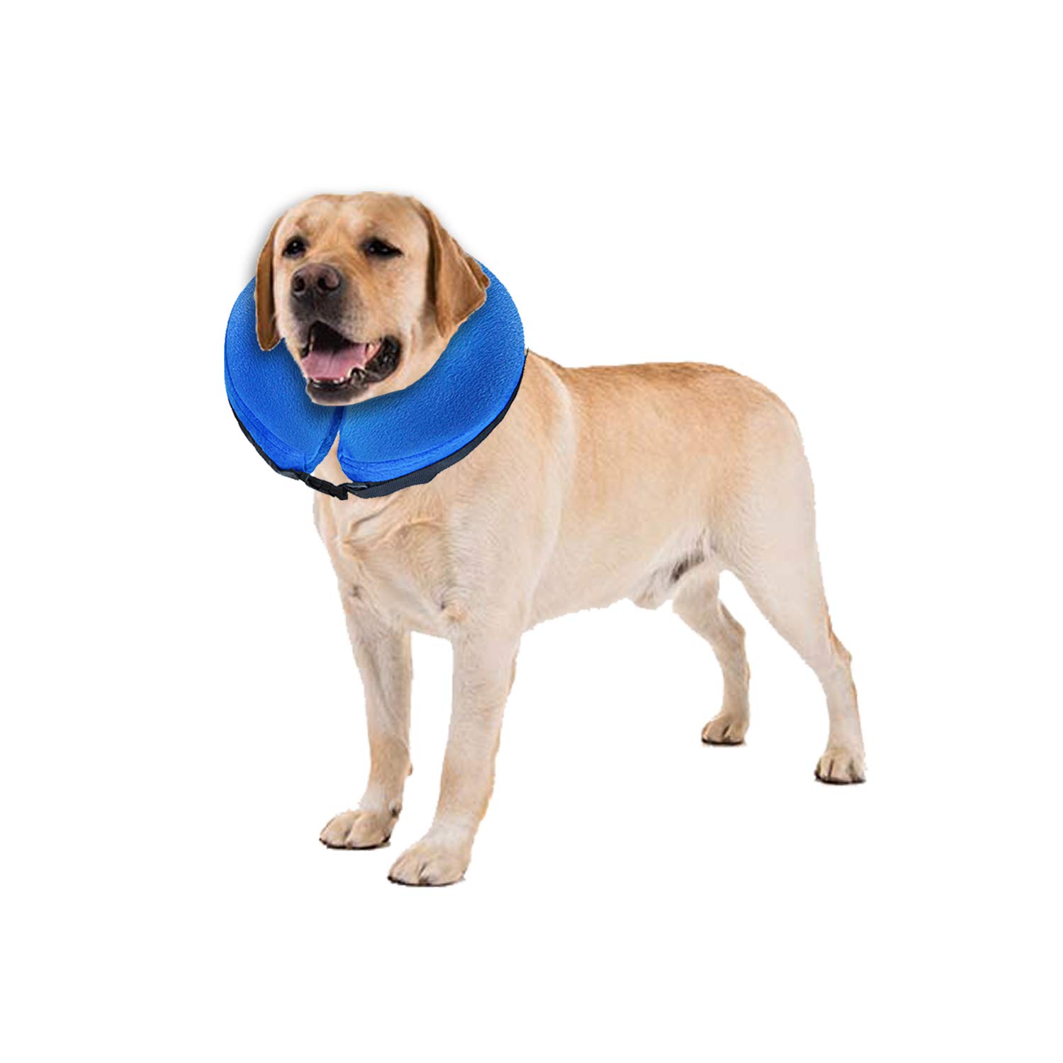 protective dog collars after surgery