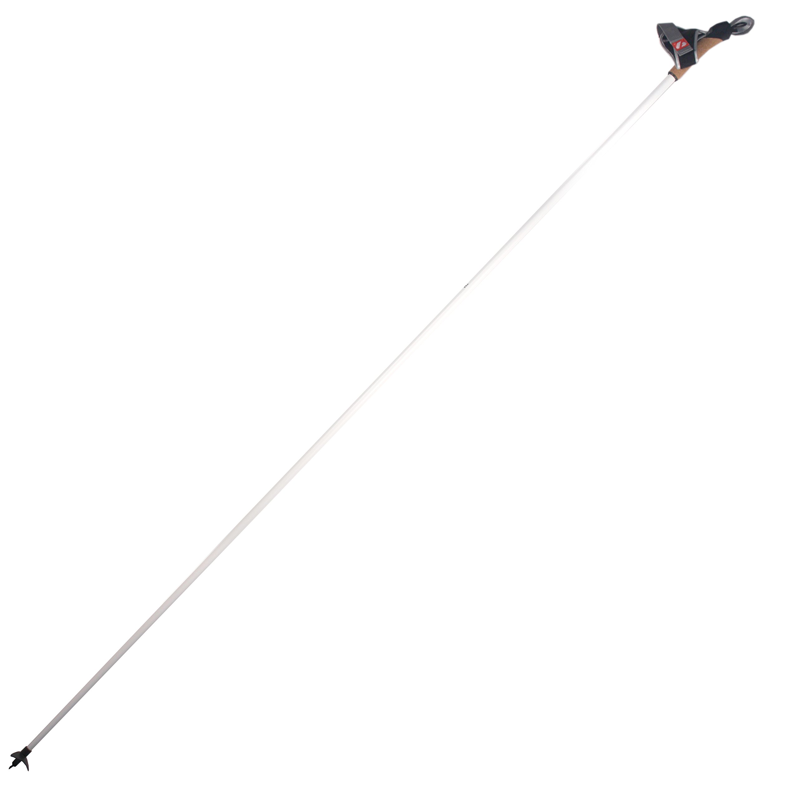 BARNETT XC-09 Bâtons de Ski 100% Carbone (de Fond et Ski-Roues) Performance (x2)