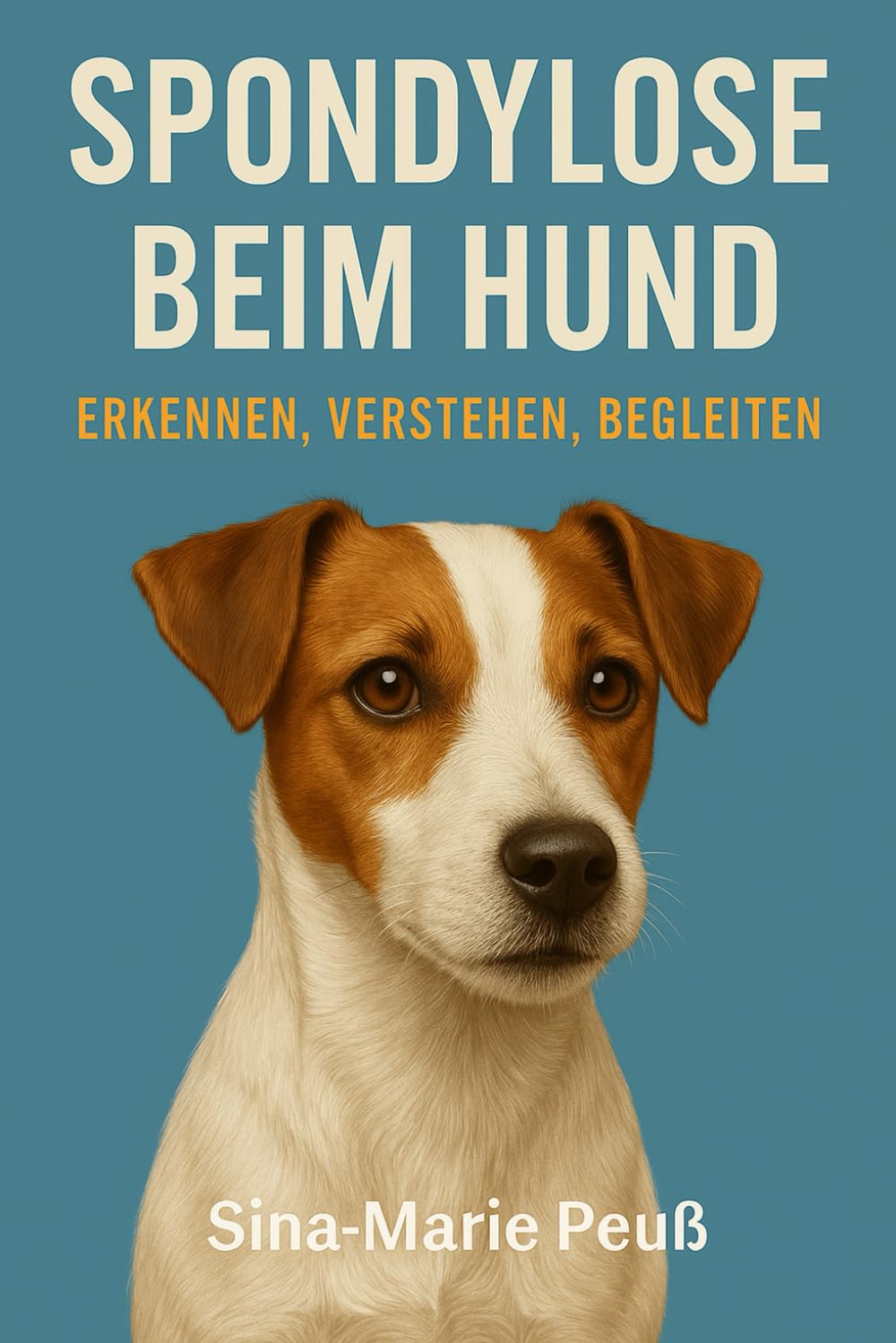 Spondylose beim Hund: Erkennen, Verstehen, Begleiten