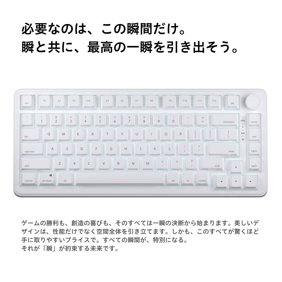 Amazon.in: Buy AIM1 Shun MATATAKI Rapid Trigger 8000Hz Polling