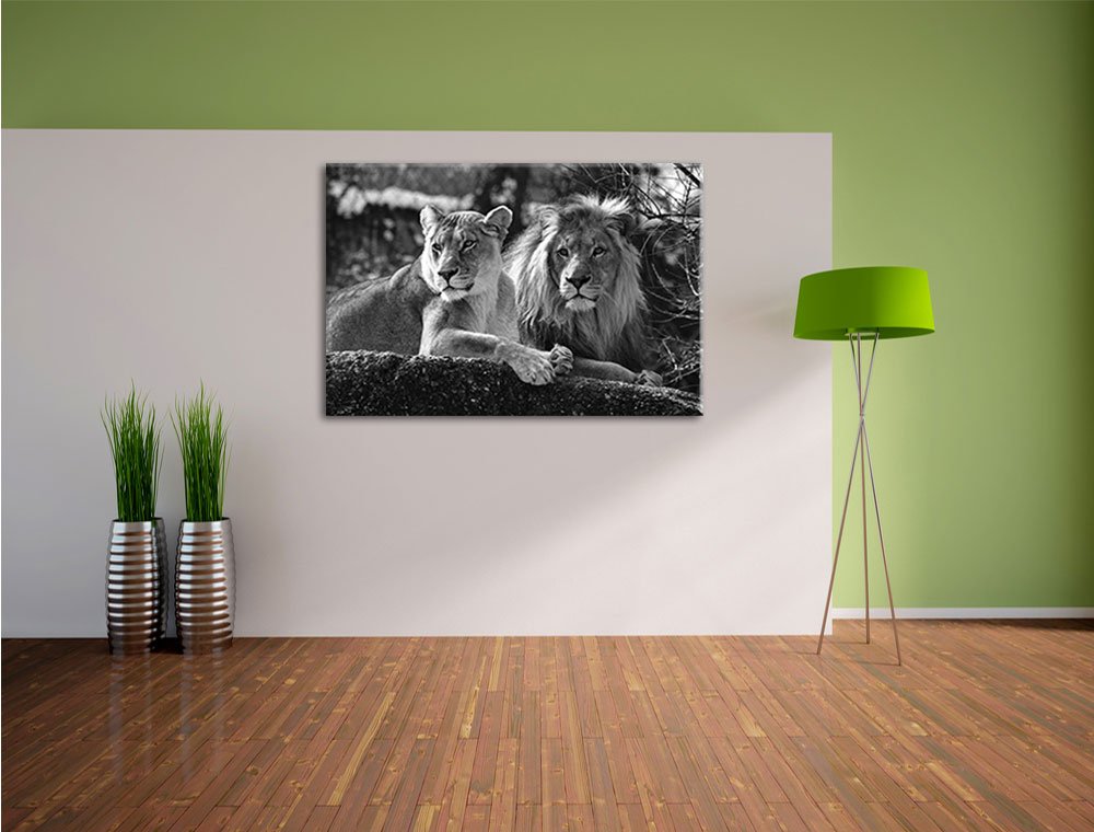 Pixxprint interessiertes Löwenpaar Kunst B&W, Größe: 120x80cm, Leinwandbild, fertig gespannt, Wandbild, Dekoration, Kunstdruck, kein Poster