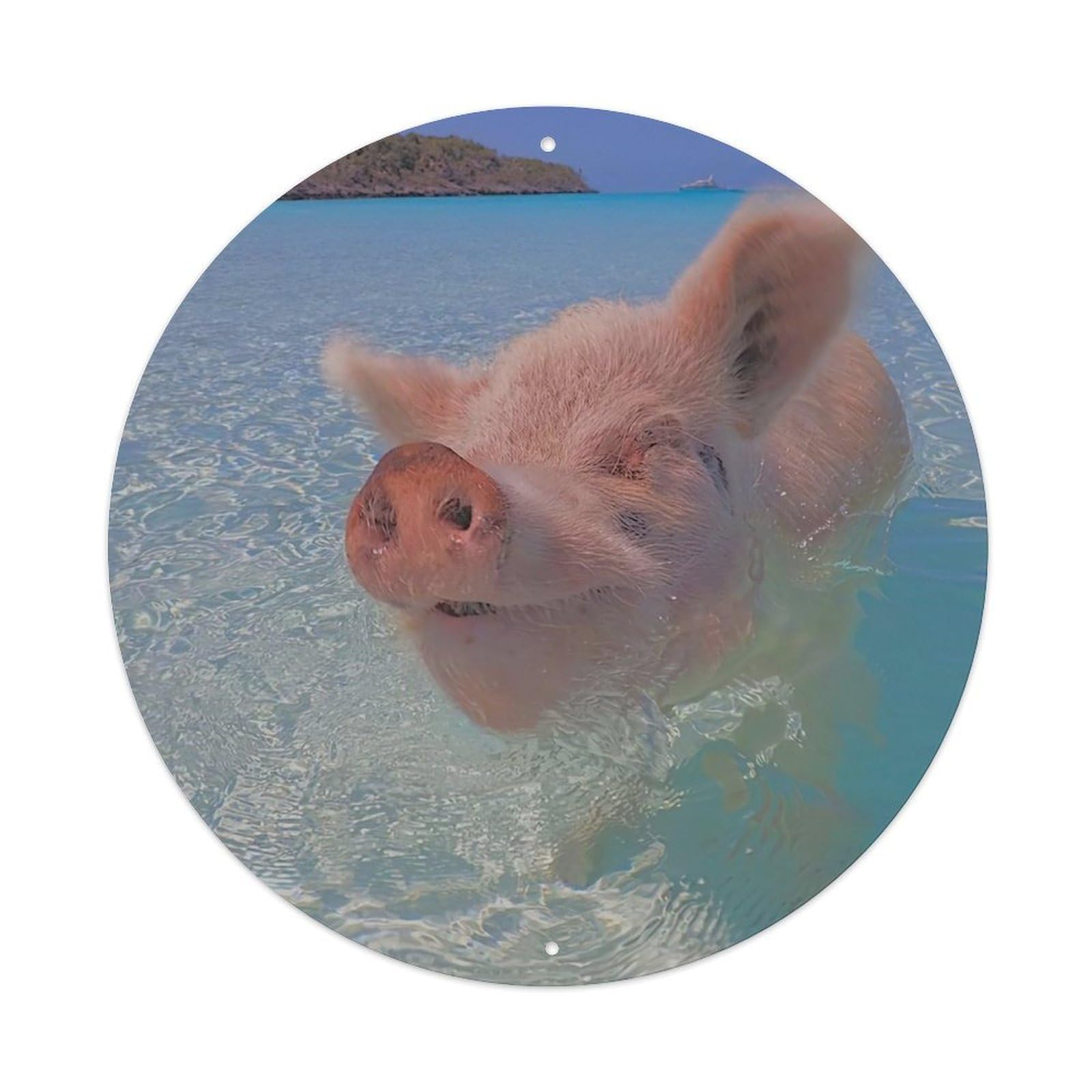 Animal Artwork Pigs in The Bahamas Vintage Metal Tin Sign Plaque Wall Decor for Cafe, Club Bar, Office, Garden Metal Poster 8x8Inch