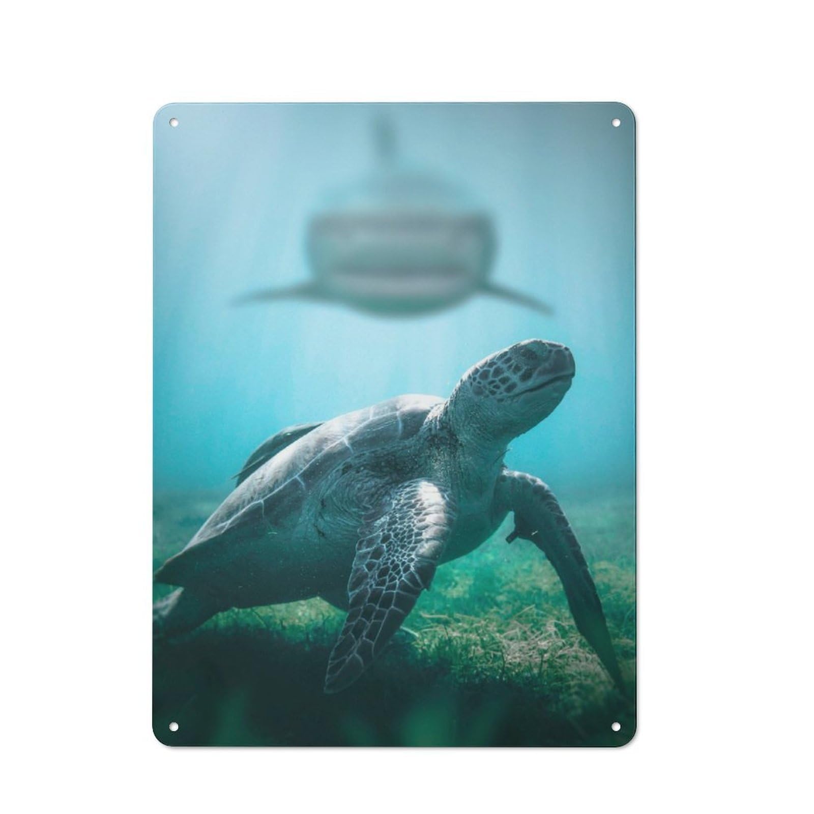 Junmoney Shark Meets Turtle Vintage Tin Sign 40X30cm For Garden Room Or Summerhouse, For A Newly Organised Room And Metal Sign Display