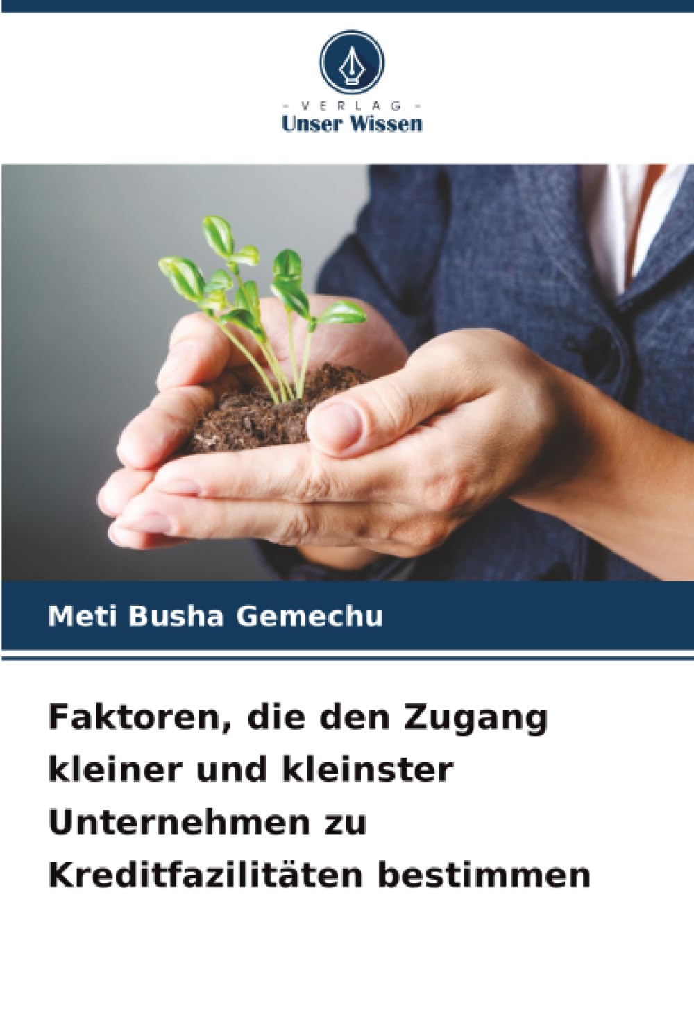 Faktoren, die den Zugang kleiner und kleinster Unternehmen zu Kreditfazilitäten bestimmen