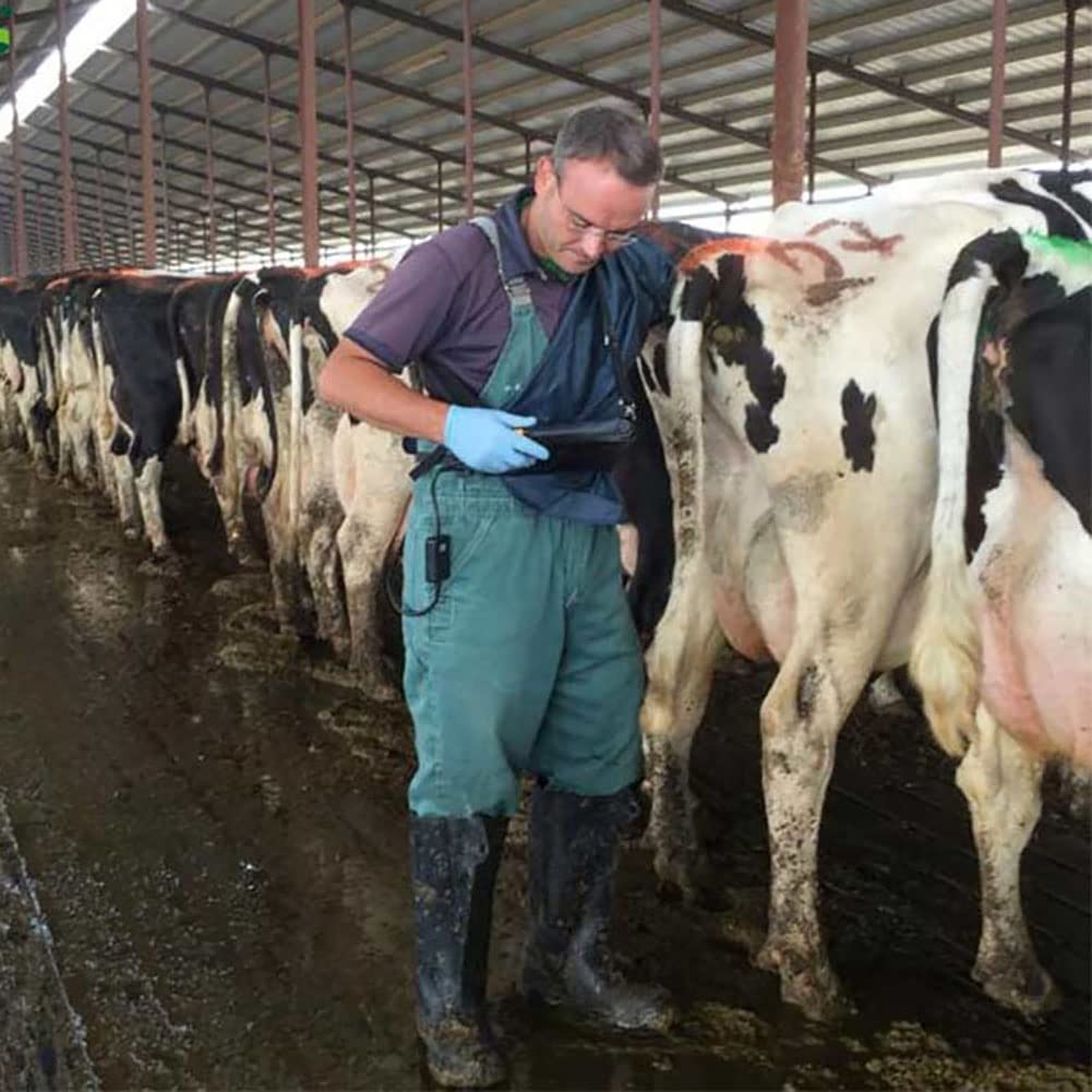 Zestaw weterynaryjnego skanera ultradźwiękowego – przenośna maszyna ultradźwiękowa B dla zwierząt gospodarskich, wielofunkcyjny skaner do wykrywania ciąży świni i kóz