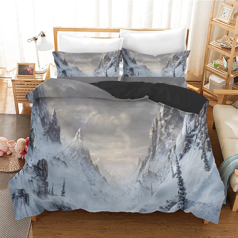 Housse de couette 240x260 parure de lit adulte microfibre 110g et 2 taies 65x65