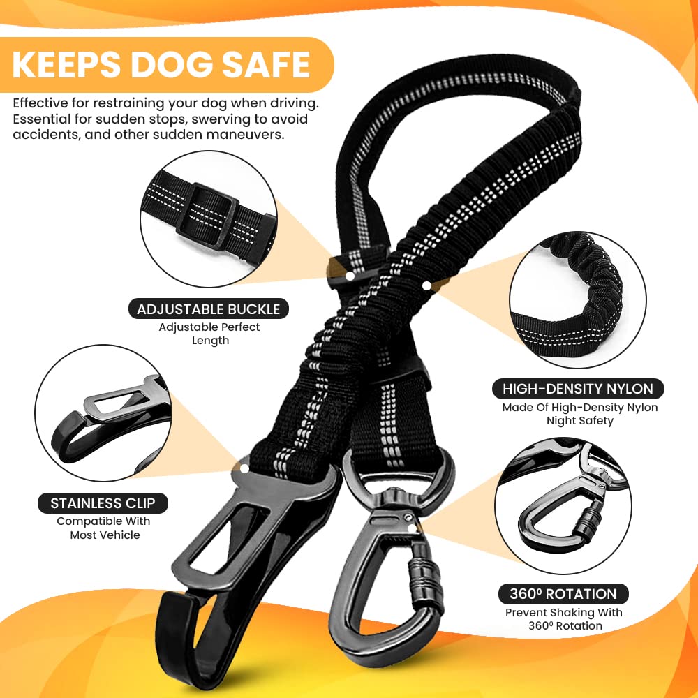 LodBar Cintura di Sicurezza per Cani e Gatti, 2 Pezzi, Regolabile, Guinzaglio Allungabile, Nero, Nylon, 229.99g, Per Cani e Gatti di Taglia Media