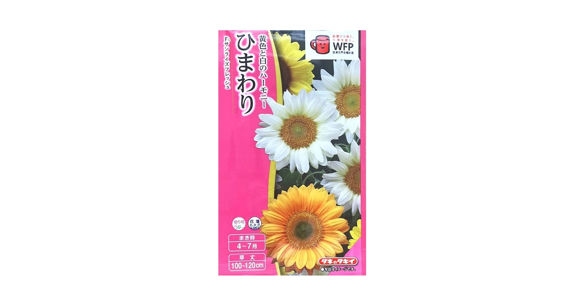 ひまわり。ページ Amazon | タキイ種苗 ひまわり F1 サンライズフレッシュ | 花
