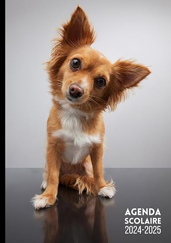 Agenda Scolaire Chien Chiot en Français: Animaux, Format A5 Agenda Journalier Quotidien en Français, Fille Garçon College Lycee Etudiant Primaire