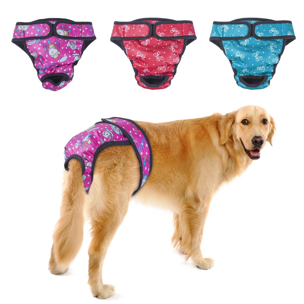 Female Dog Period Female Dog Period