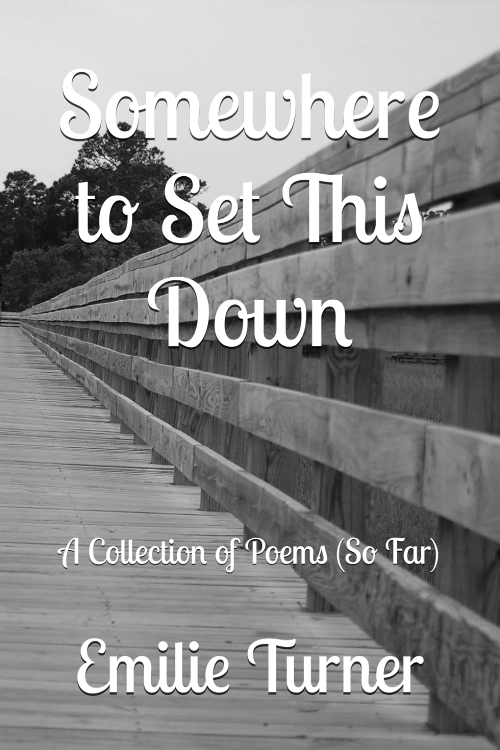 Somewhere to Set This Down: A Collection of Poems (So Far)