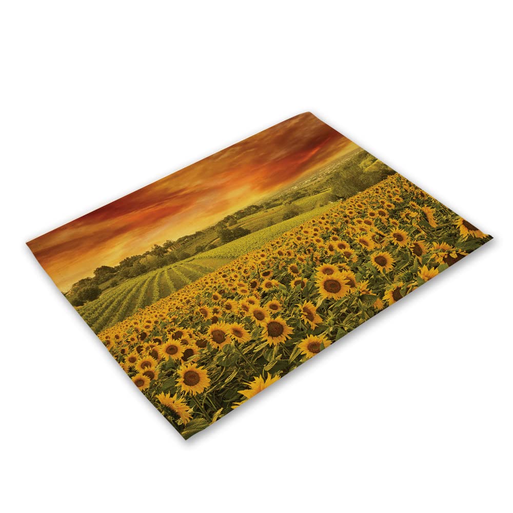 Sunflower pattern heat-resistant scratch-resistant non-slip waterproof oil-proof washable outdoor indoor dining table kitchen decoration 42x32cm HN 2PCS