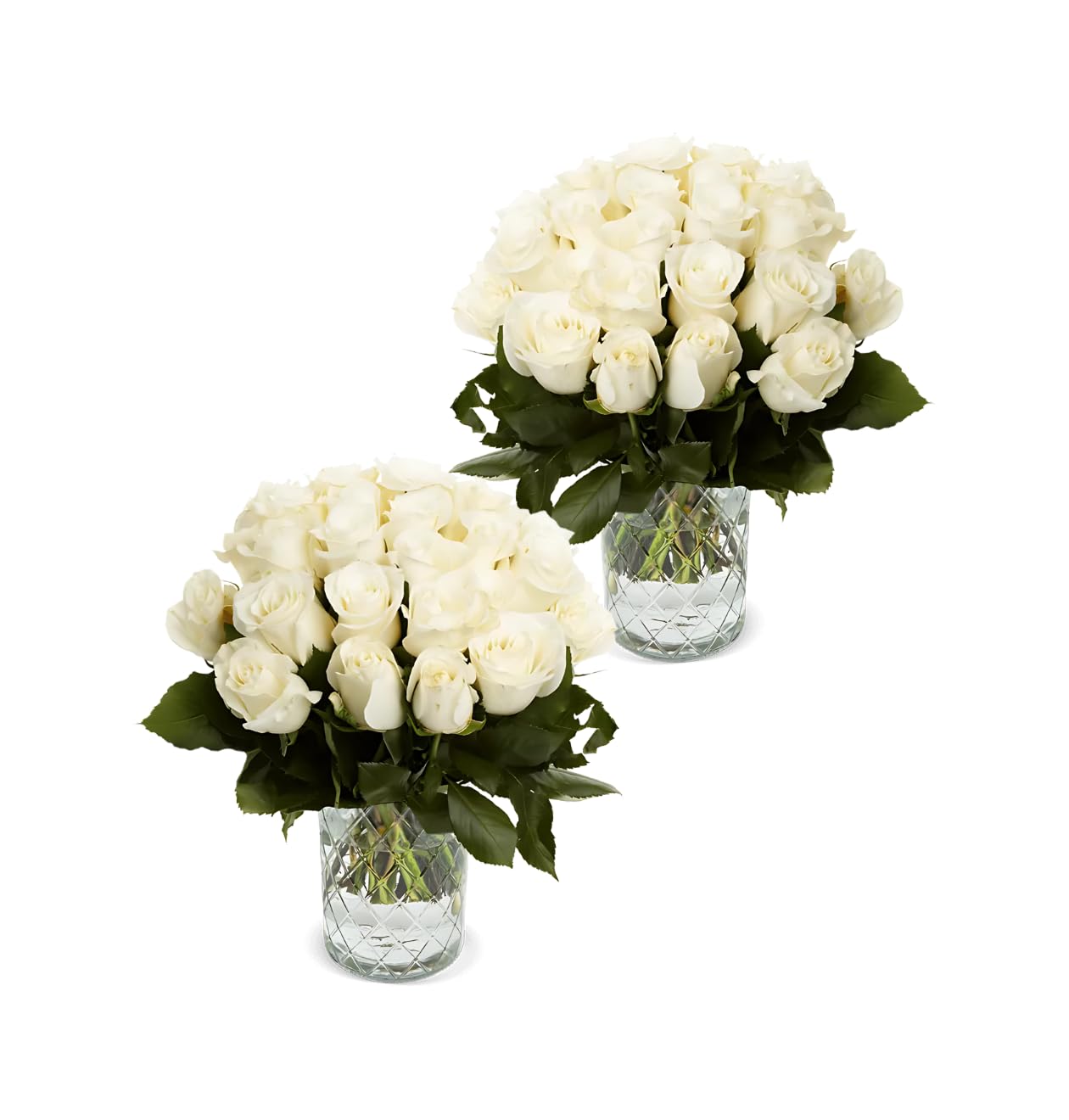 Blume Ideal Rosenstrauß - Rosen in verschiedenen Farben und Mengen - Ø 40–50 cm - Echte premium Blumen für Hochzeit & Deko - 7 Tage Frischegarantie