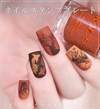 61w8xIapKoL._AC_UF350,