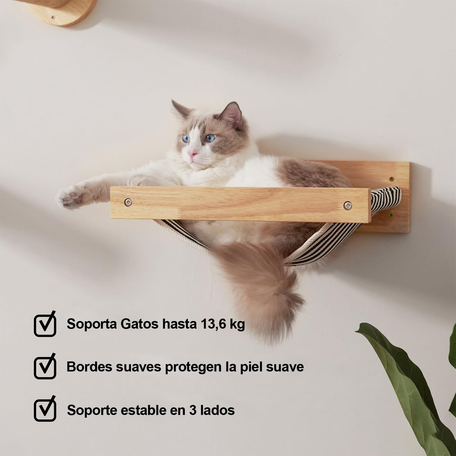 FUKUMARU Cama Pared Gato, Hamaca para Gatos Grande montado en la Pared, De Madera Maciza de Caucho, Muebles de Gatito Premium para Dormir, Jugar, Escalar y Descansar, Soporta hasta 18 KG