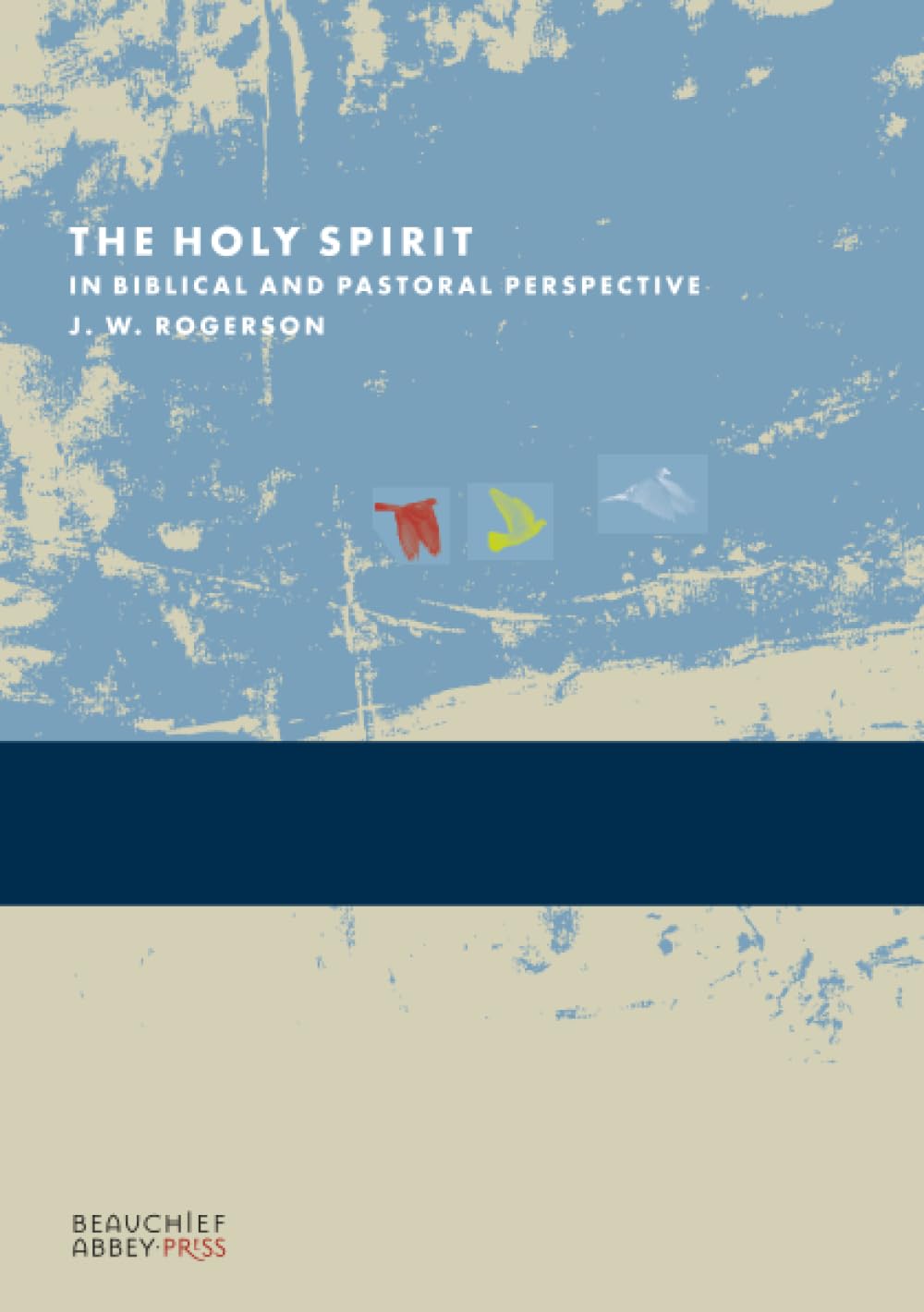 The Holy Spirit in Biblical and Pastoral Perspective