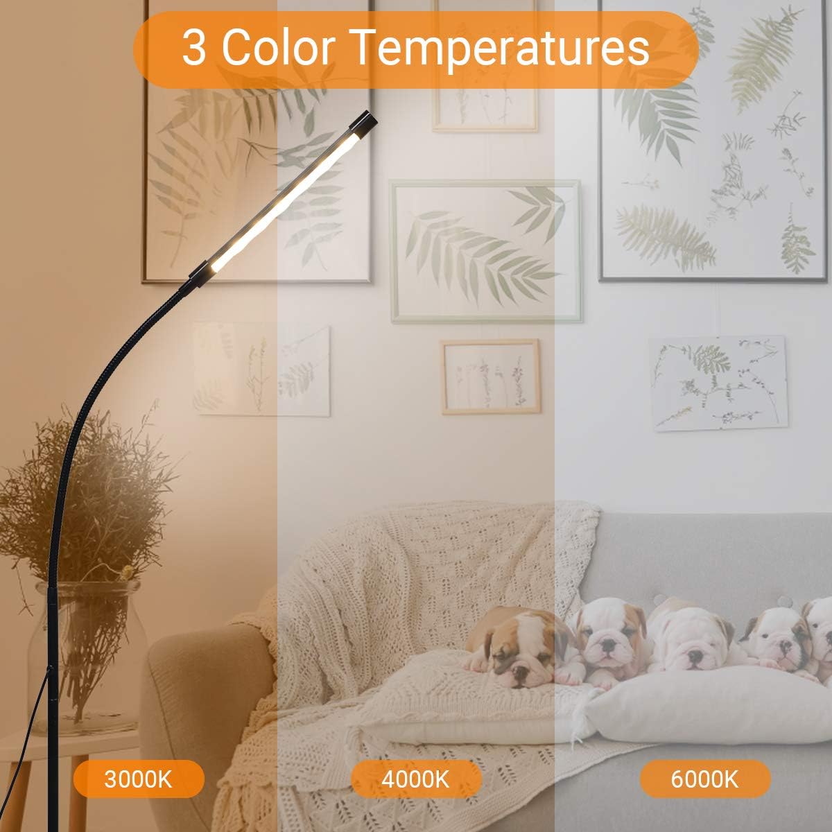 CHICIRIS LED Floor Light, Modern Timing Eye Work Light, Dimmable Study Piano Light, Multi-Angle and Height Adjustable Light for Bedroom, Reading, Studying(US Plug)