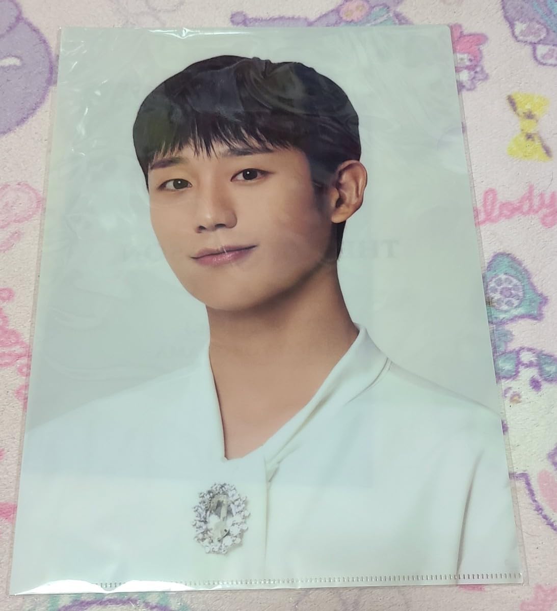 Amazon.co.jp: チョンヘイン 公式グッズ 2023 JUNG HAE IN