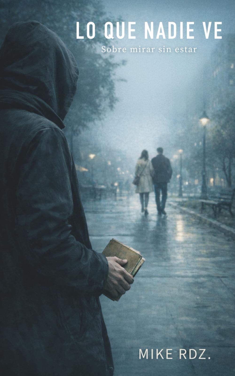 Lo que nadie ve: Sobre mirar sin estar