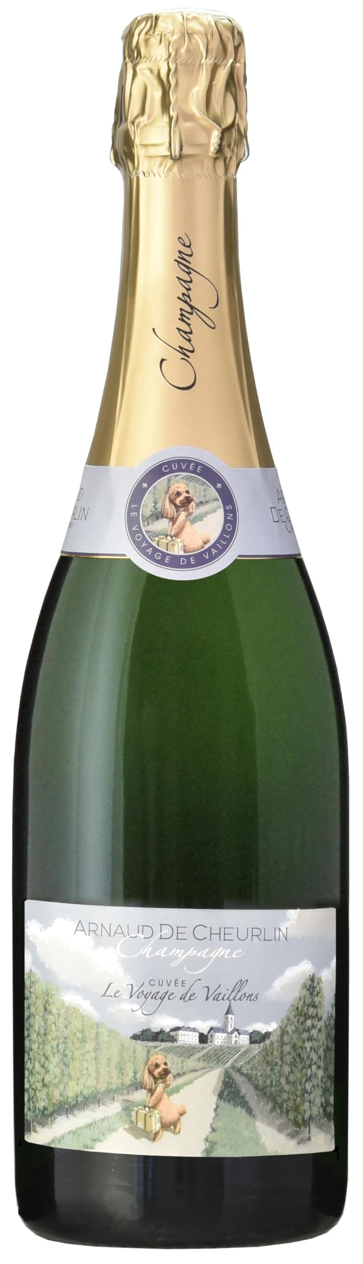 Amazon.co.jp: アルノー・ド・シューラン シャンパーニュ ブリュット