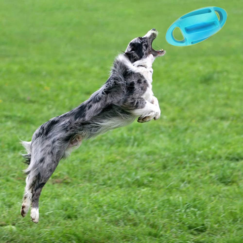 Hundegeräuschspielzeug Bissfest Schwimmendes Wasserblasform-gummispielzeug Rugby-zugring Interaktives Trainingshundespielzeug