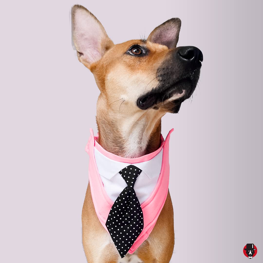 That Dog In Tuxedo Dog Tuxedo Bandana/Pet Tuxedo Bow Tie/Neck Tie for Dogs/Birthday/Party/Wedding Dog Outfit (S, Pink) (B0BGSSZTPZ) Amazon Price History, Amazon Price Tracker