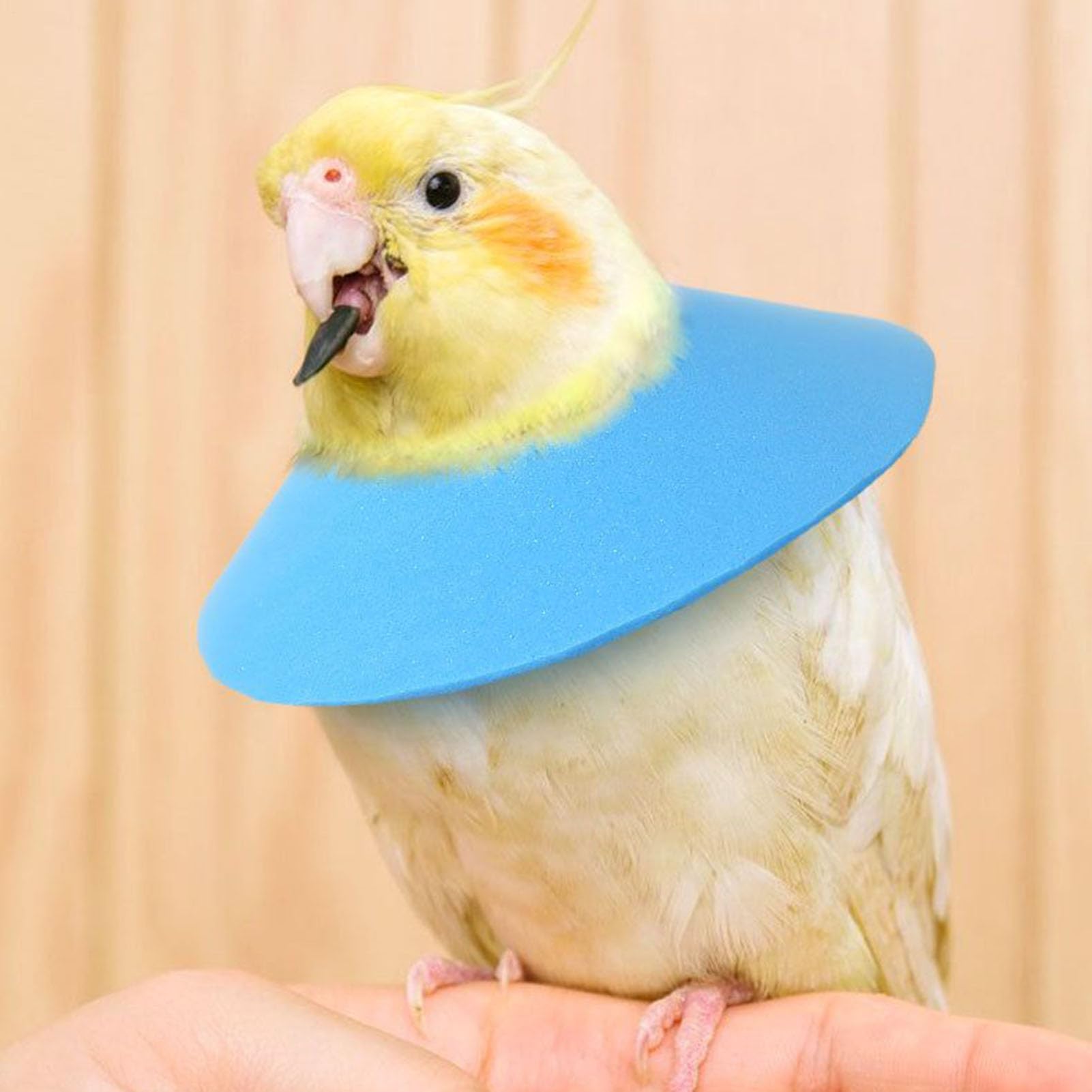 Collier Cervical pour Hamster - Collier Cervical Doux de Récupération pour Chat | Accessoire de Cou Ajustable pour Protection Voyage Prévention Blessures Chat Lapin Perroquet Furet