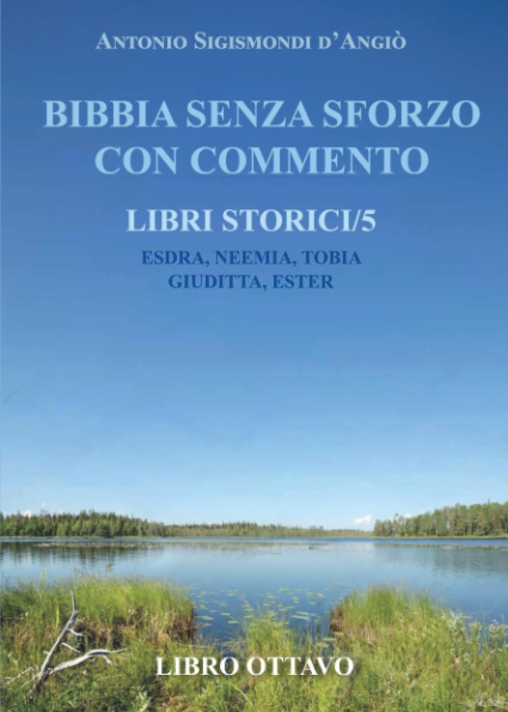BIBBIA SENZA SFORZO CON COMMENTO - LIBRI STORICI/5 Esdra, Neemia, Tobia, Giuditta, Ester