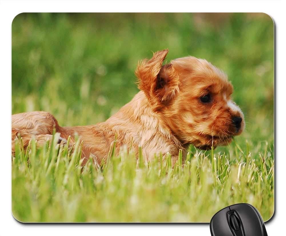 Gaming Mouse Pads,Mouse mat,Coker Spaniel Cocker Spaniel English Dog Doggy