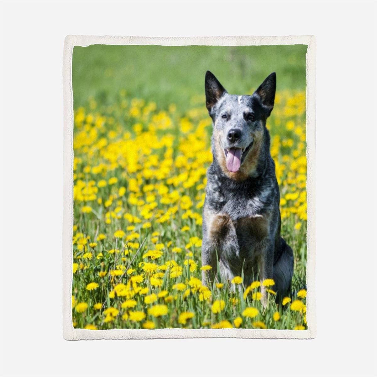 Couverture Plaid polairec Enfant Chien De Bétail Australien 150x200 Fleurs Flanelle Couverture lit 2 Personne Microfibre épaisse Chaude pour Couverture de canapé Douillette,Pique Nique,Camping
