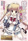 捨てメイド拾いました
