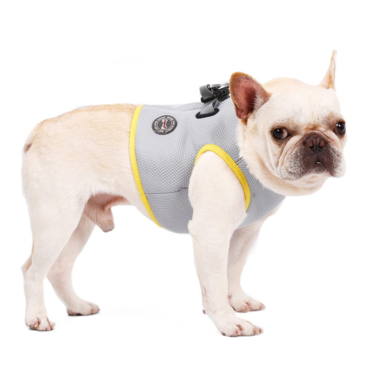 FRCOLOR 2 Pz gilet estivo raffreddamento harnesso cane traspirante gilet rinfrescante per cani giacca rinfrescante per animali domestici animale domestico Imbracatura corda