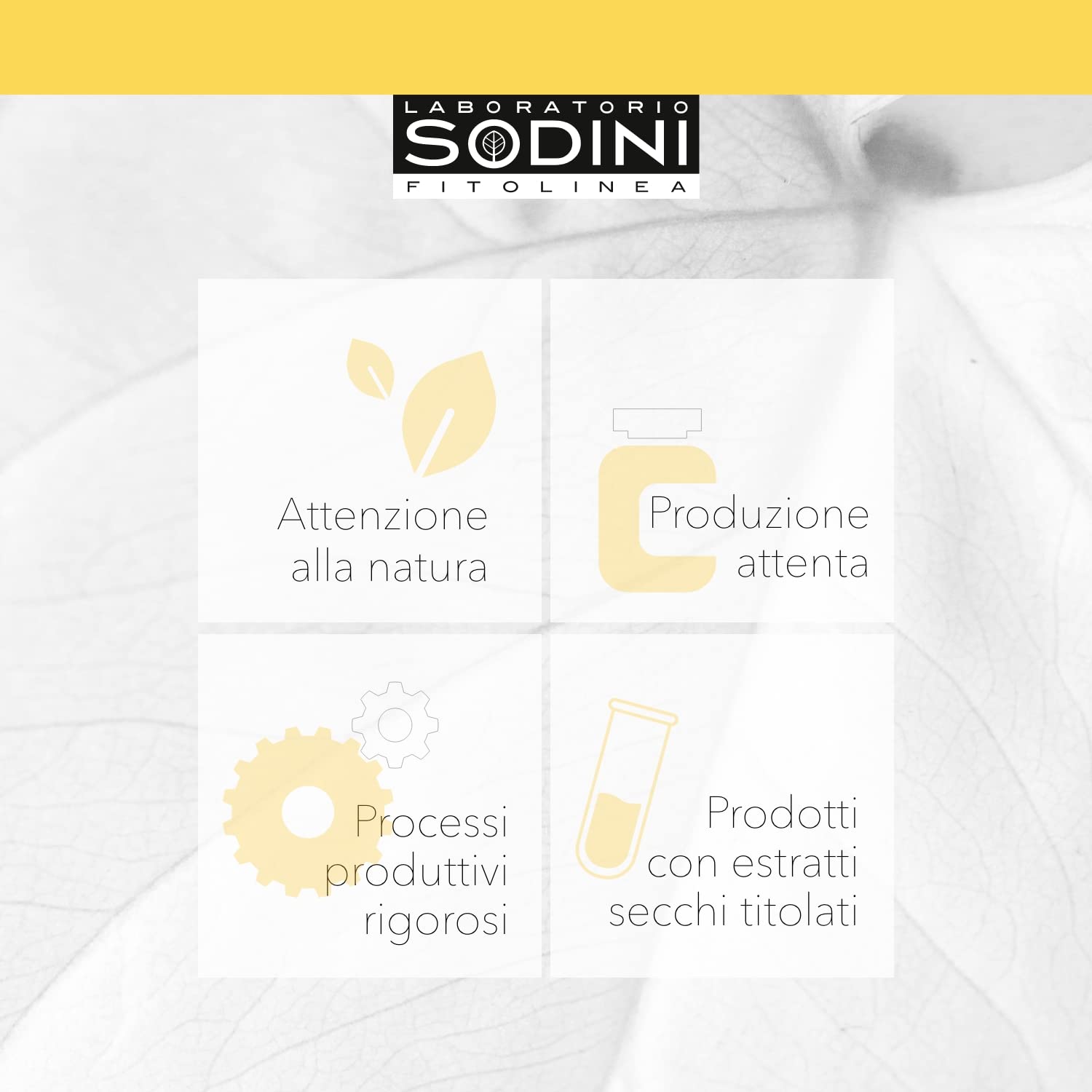 Gingko Selenio Complex Vegetali Naturali, Confezione da 70 Capsule