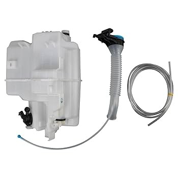 R.mama BioLite™ Cell Culture Treated Dishes 60 mm | Buy Online