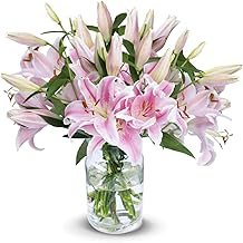 Blume Ideal Bouquet | 10 Pink Lilies | Diameter 40 - 50 cm | Real Lilies for Wedding & Decoration | 7 Days Fresh Guarantee | Available in Various Quantities
