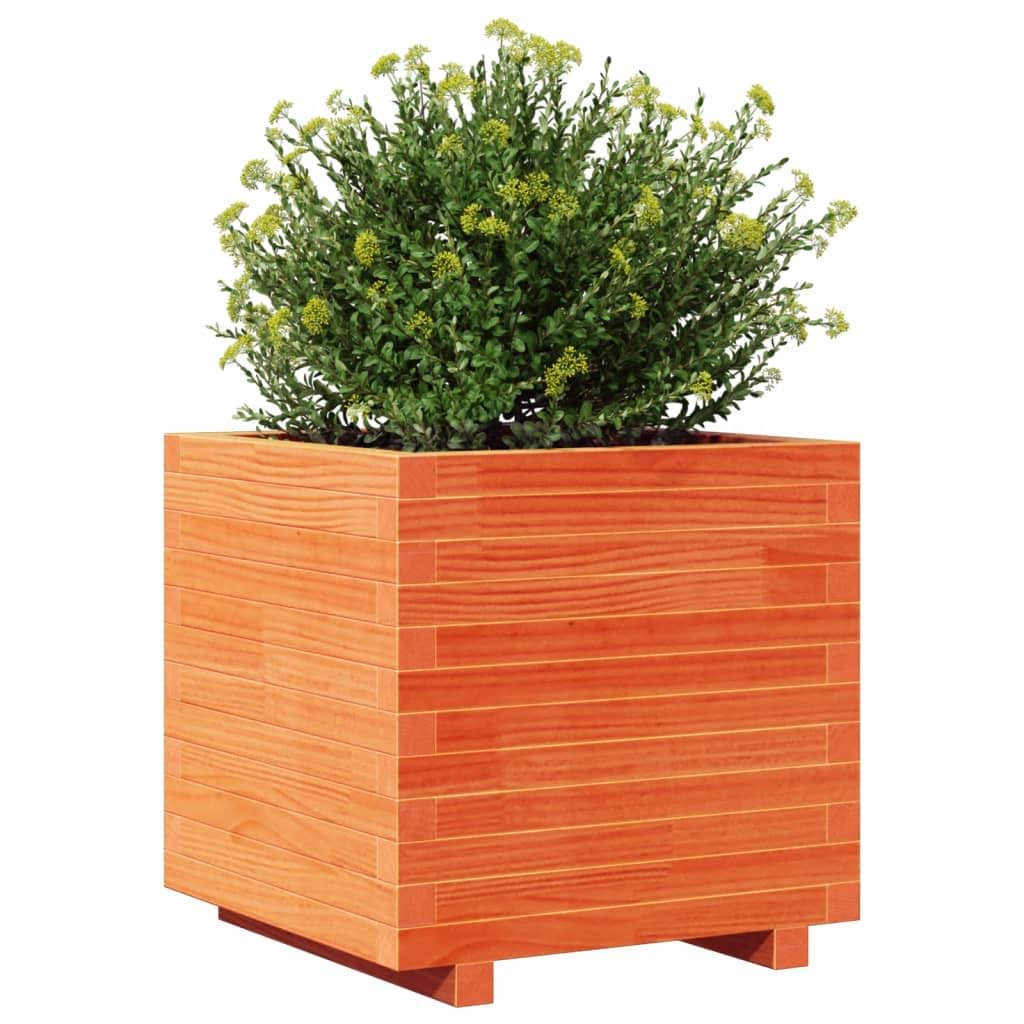 Macetero de madera de pino, 50 x 50 x 49,5 cm, marrón cera, madera maciza, bancal alto, jardín de hierbas, jardín urbano para jardín, balcón y terraza