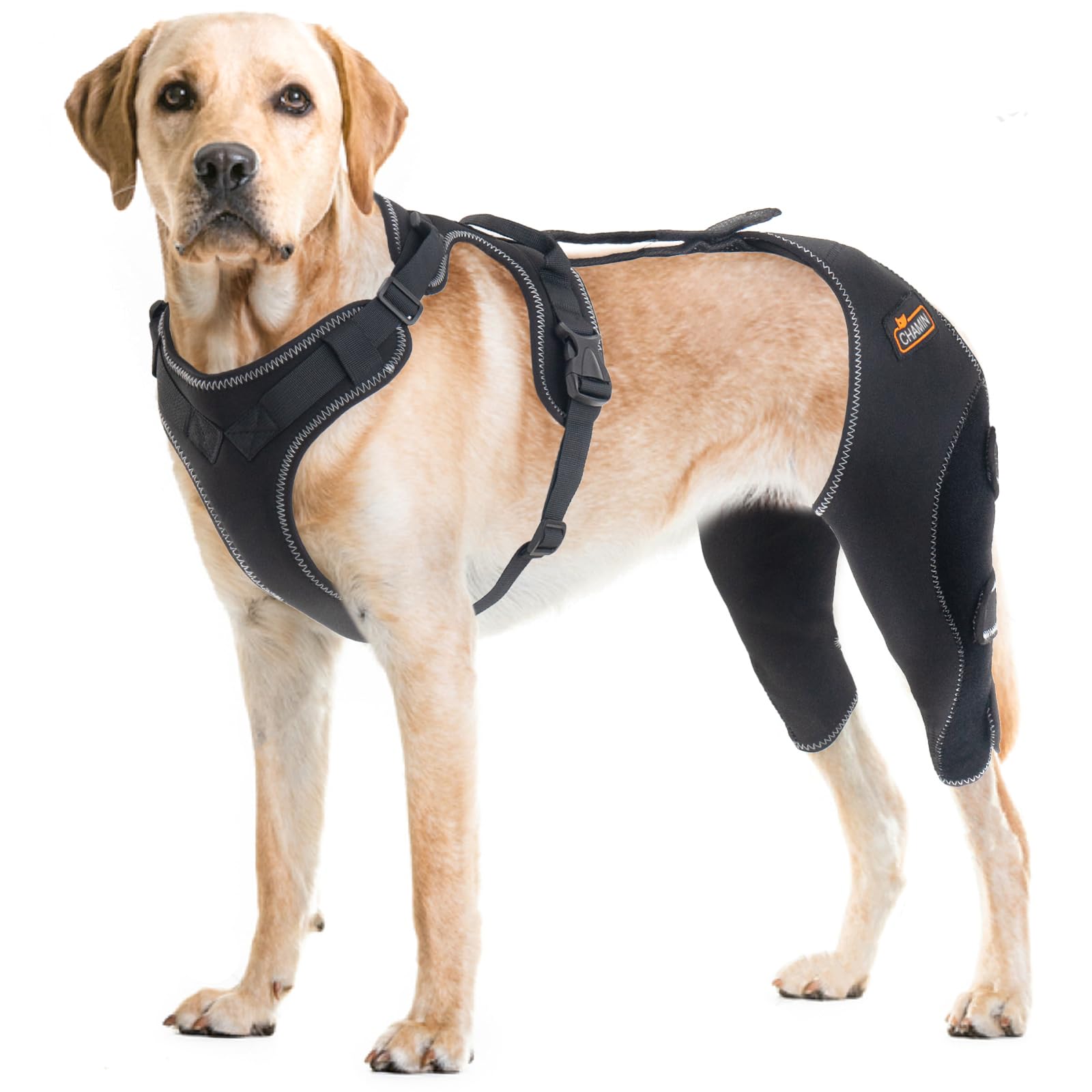 CHAMIN Dog Leg Braces for Hind Leg, Dog Acl Knee Brace Support for Cruciate Ligament Injury?Osteoarthritis, Luxating Patella, Muscle Sore,et(Large)