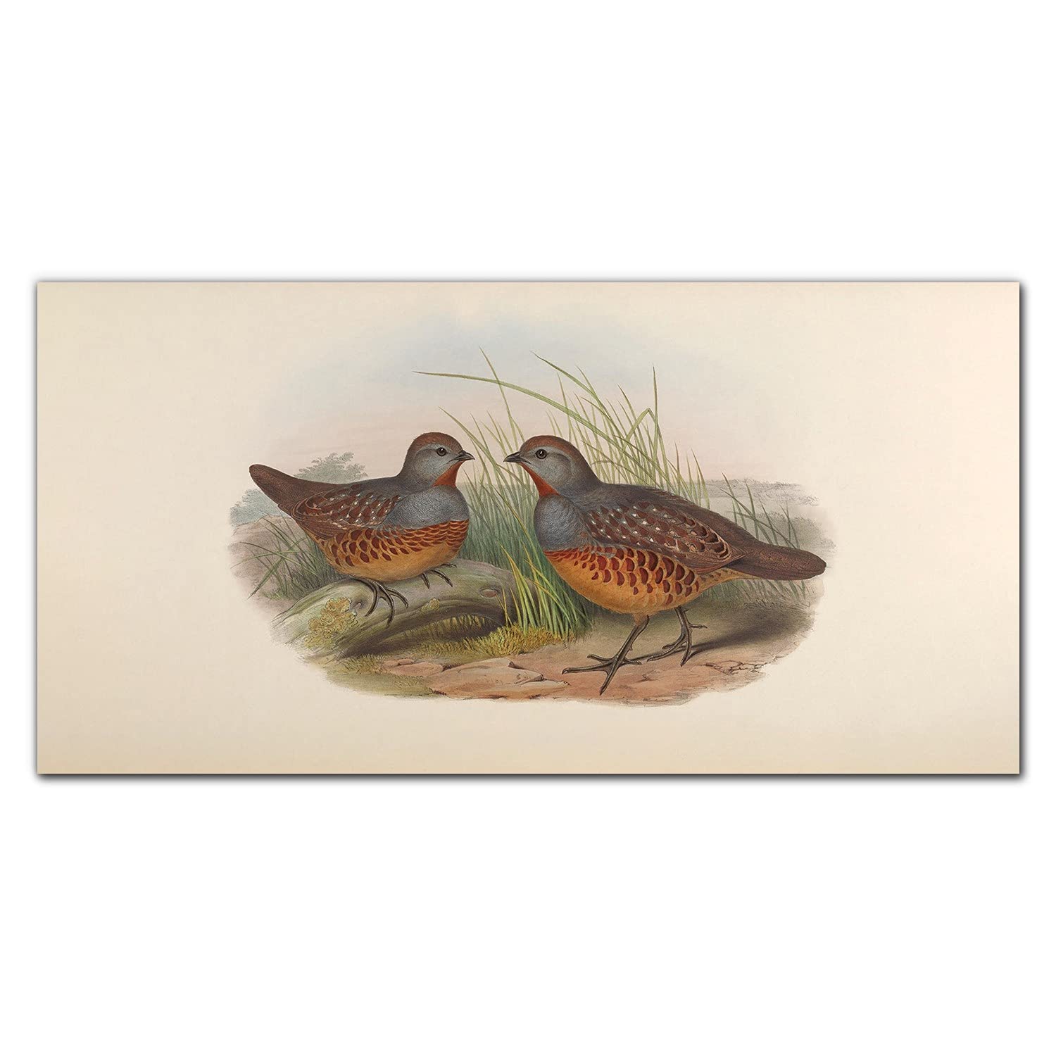 Crédence de cuisine murale 140x70cm Coloray adhésive en verre trempé oiseau