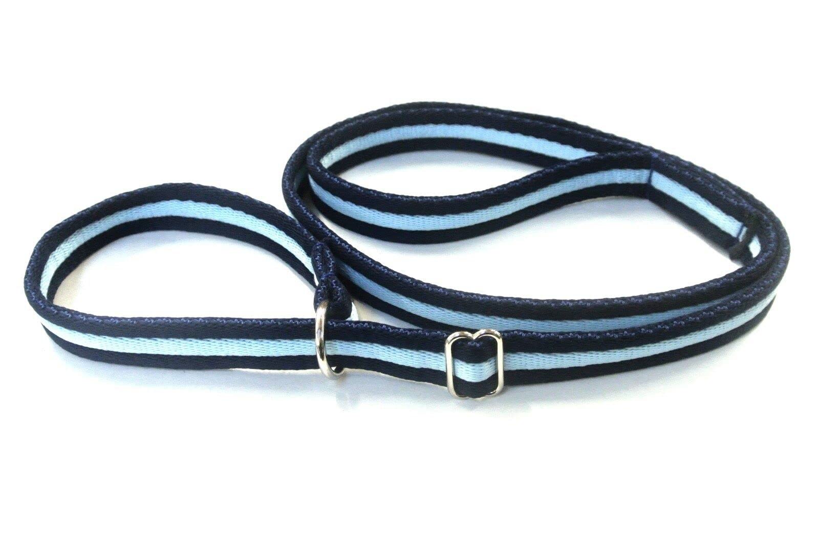 Dog Slip Lead Training Walking Leash 60" Long Obedience Slip On Dog Lead Soft Comfortable Air Webbing In (Navy/Sky Blue, 25mm) — image 1