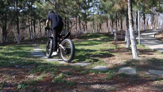 aostirmotor electric bike S18-1500W