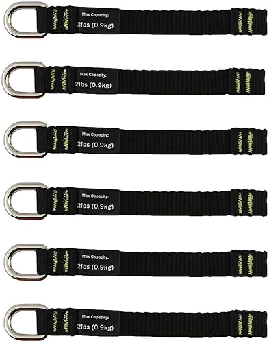 Ergodyne Squids 3700 - Accesorios de cola para herramientas de red, paquete de 6, 2 libras, longitud larga 5.5, negro