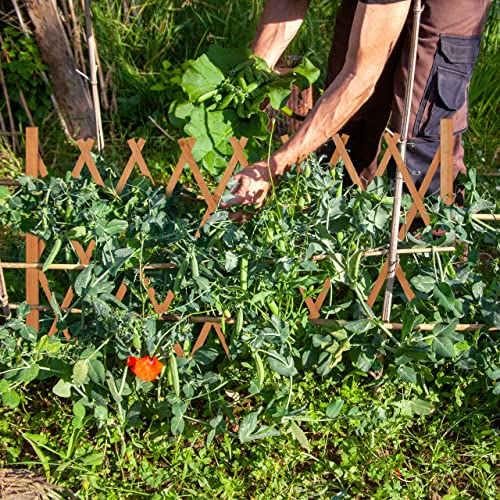 Relaxdays Rankgitter Holz, ausziehbar bis 275 cm, Rankhilfe Kletterpflanzen, Scherengitter freistehend, Garten, orange