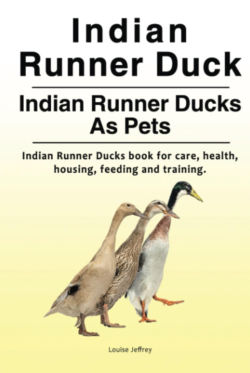 Indian Runner Duck. Indian Runner Ducks As Pets. Indian Runner Ducks book for care, health, housing, feeding and training.