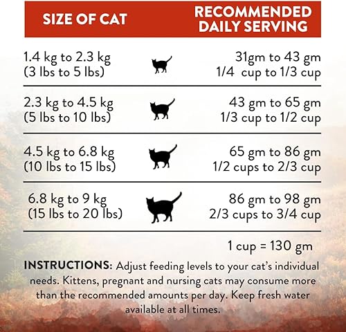 Miniatura 6 de Addiction Wild Islands Forest Meat Receta de venado Premium Alimento seco para gatos - 4 libras