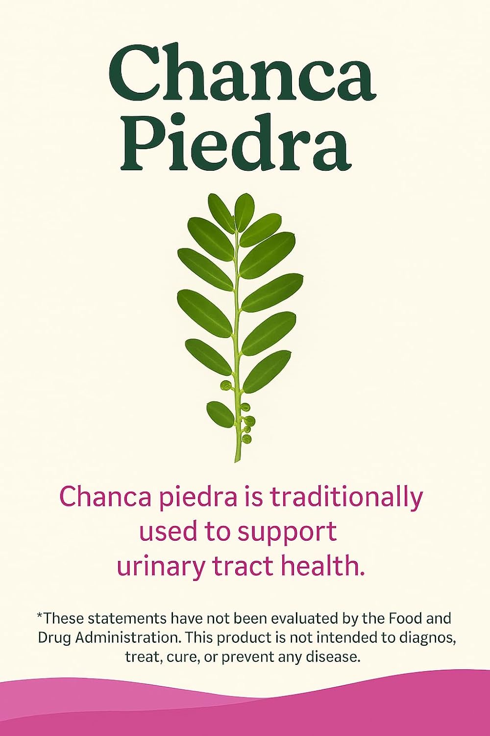 Milk Thistle – Liver Support with Dandelion Root, Chanca Piedra, Artichoke, Beet Root & Black Pepper – Detox & Digestive Health Support Supplement – 60 Capsules - Image 7