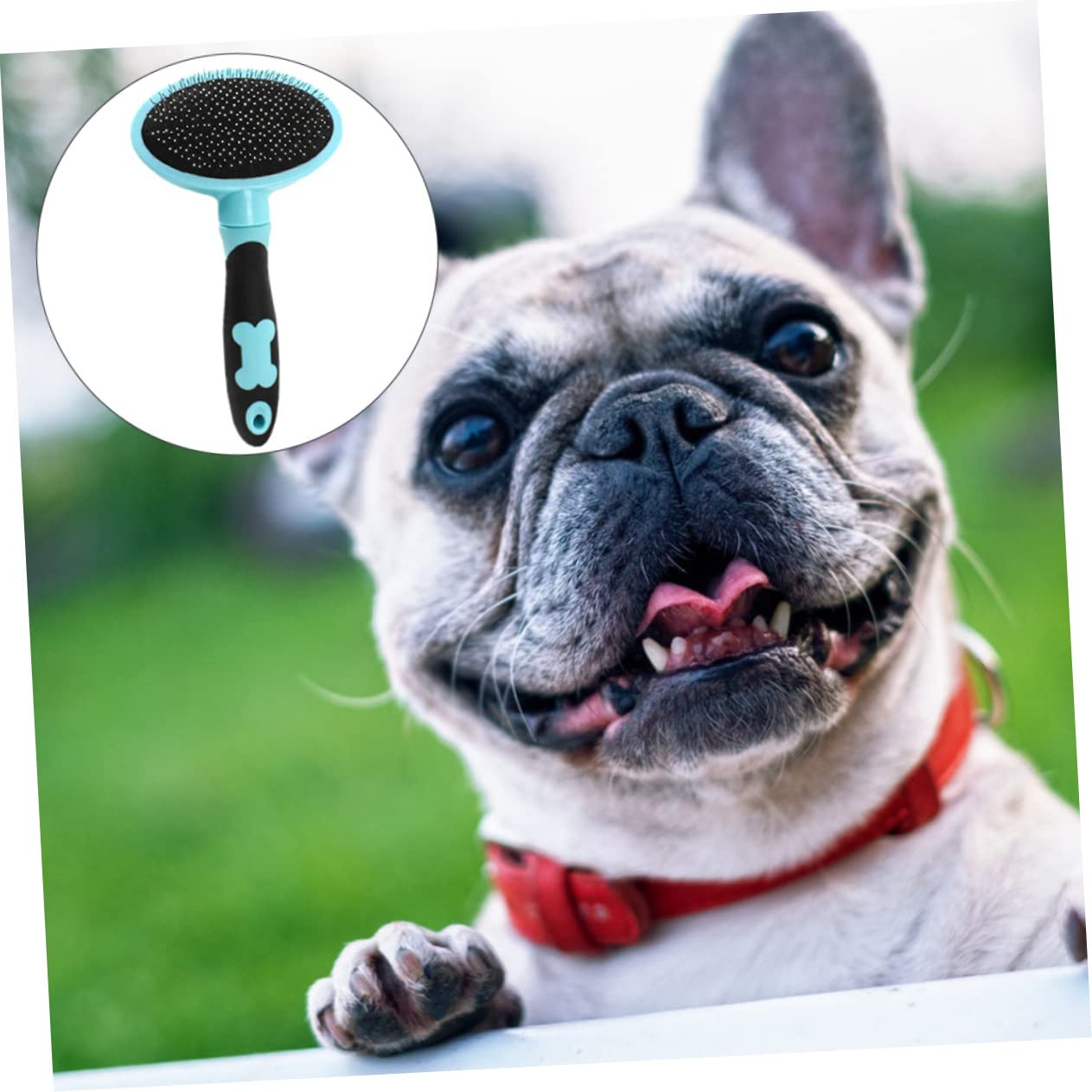 Didiseaon 3pezzi Spazzola Per Animali Domestici Con Manico Ergonomico Strumento Di Grooming e Massaggio Per Cani e Gatti Rimuove Pelo e Dander Accessorio Per Animali